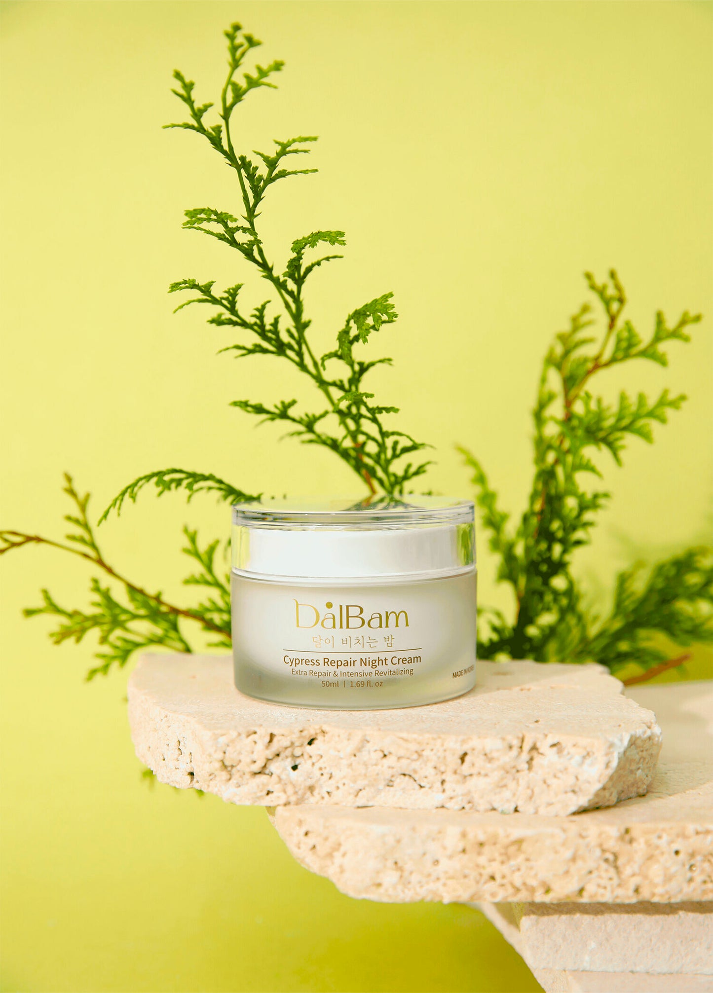 Cypress Repair Night Cream Onarıcı Nemlendirici Yaşlanma Karşıtı Gece Yüz Kremi 50 ml 🌙 YENİ ÜRÜN 🌙